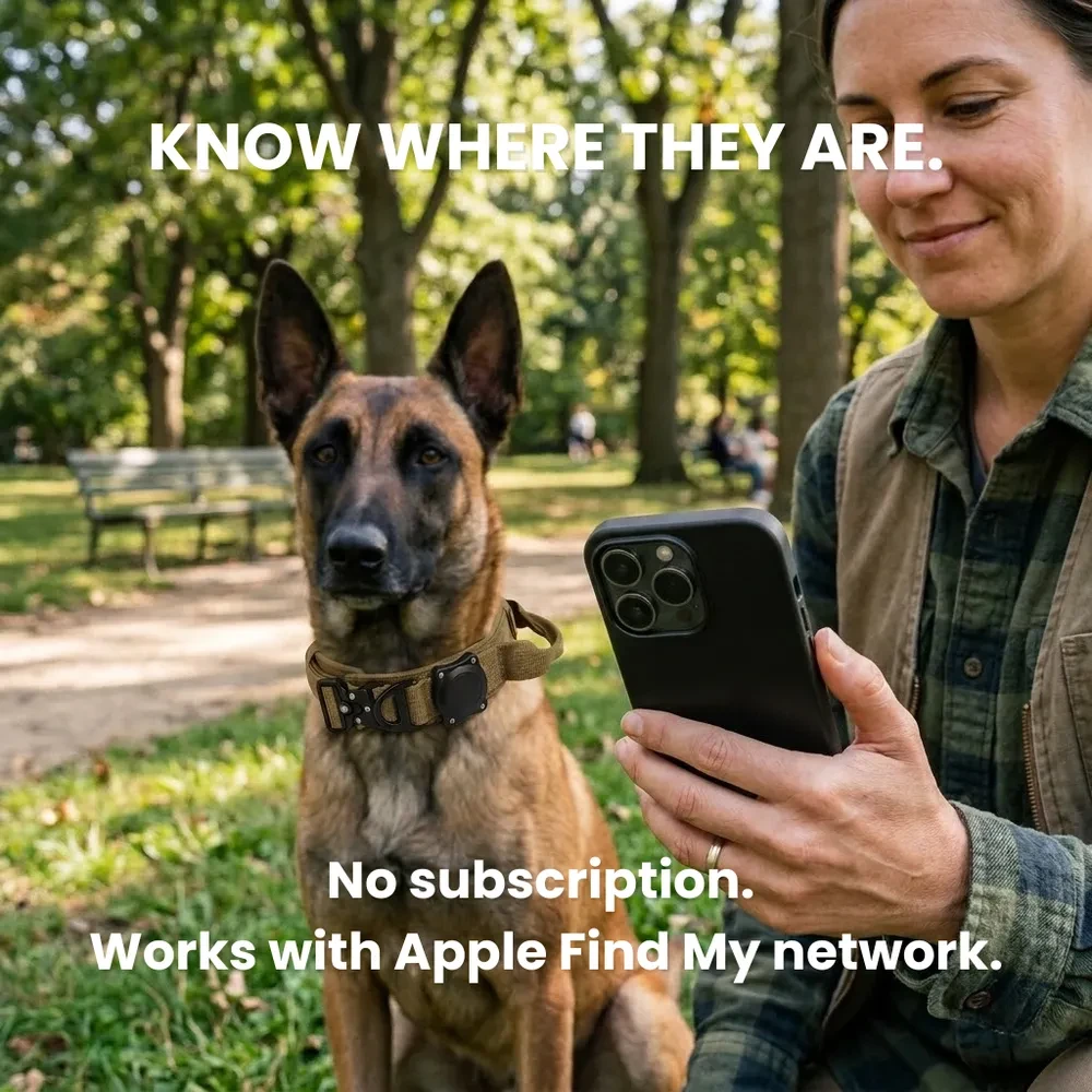 Always know where your dog is with precision tracking