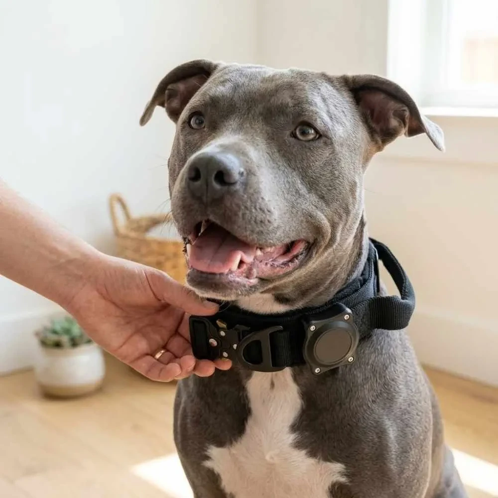 Doggo Guard tactical collar system